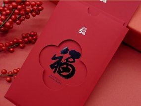 本站按公开材料组织页面